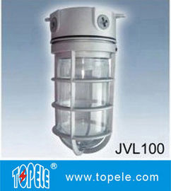 100W 220V Bronceado, gris IP65 de aluminio fundido a prueba de vapor luces, luces de inundación LED